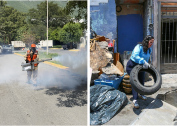 Monterrey Intensifica Campaña Contra El Dengue En Colonias