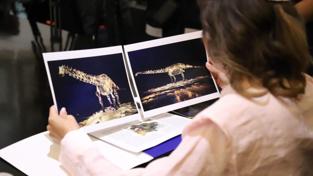 fósil-Einstein-san-pedro