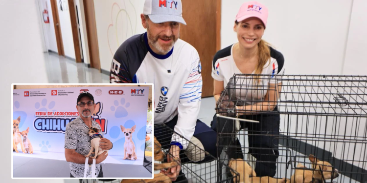 Chihuatón-en-Monterrey-Centro-de-Bienestar-Animal-hogares-seguros-50-perritos-protección-animal