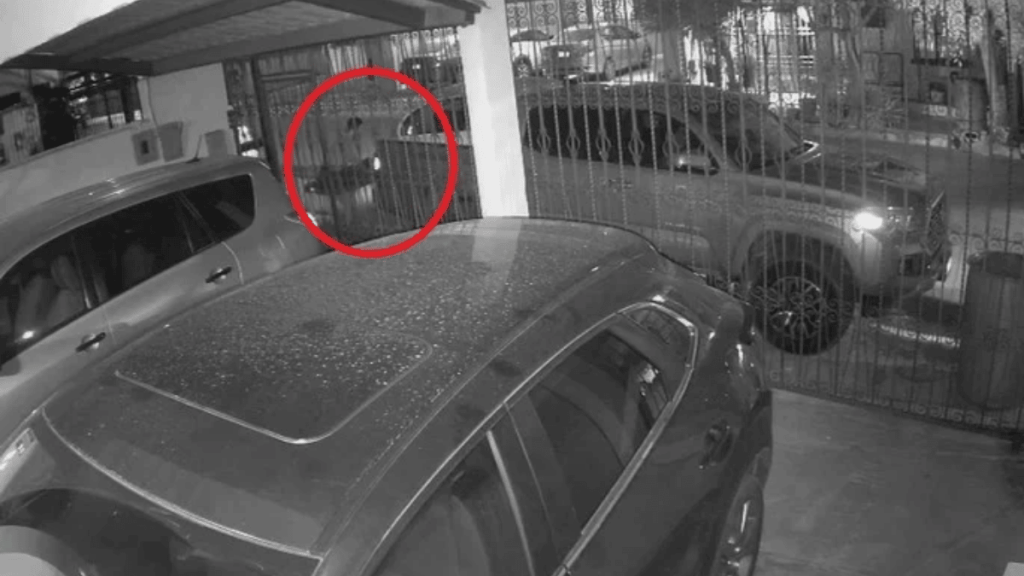 el decomiso de estupefacientes  es un duro golpe al crimen en Monterrey